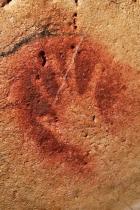 Red hand stencil at Chauvet Cave